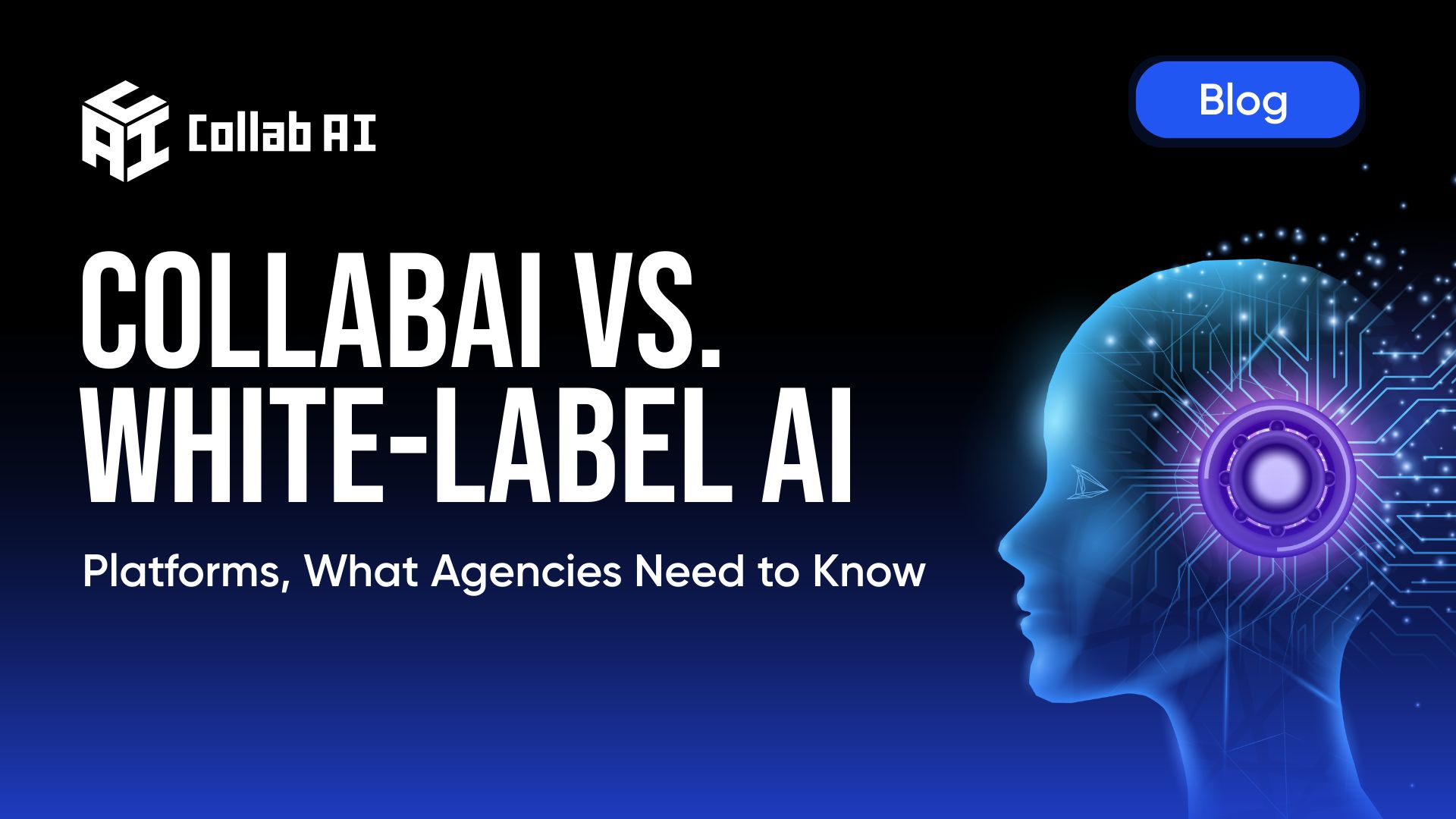 CollabAI vs. White-Label AI Platforms, What Agencies Need to Know - CollabAI